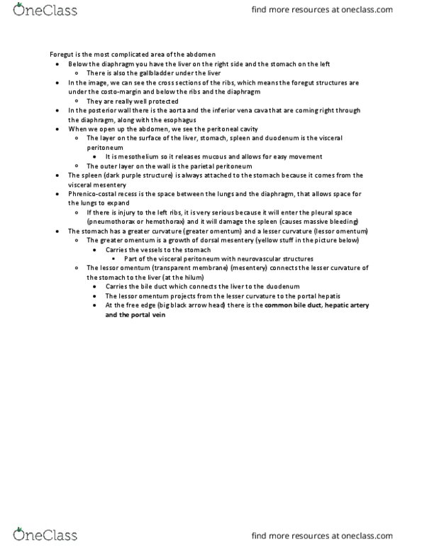 ANAT 214 Lecture Notes - Lecture 15: Splenic Vein, Superior Mesenteric Vein, Inferior Mesenteric Vein thumbnail