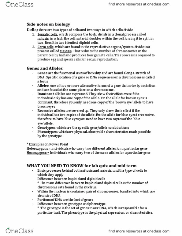 ANTH 203 Lecture Notes - Lecture 1: Punnett Square, Germ Cell, Mitosis thumbnail