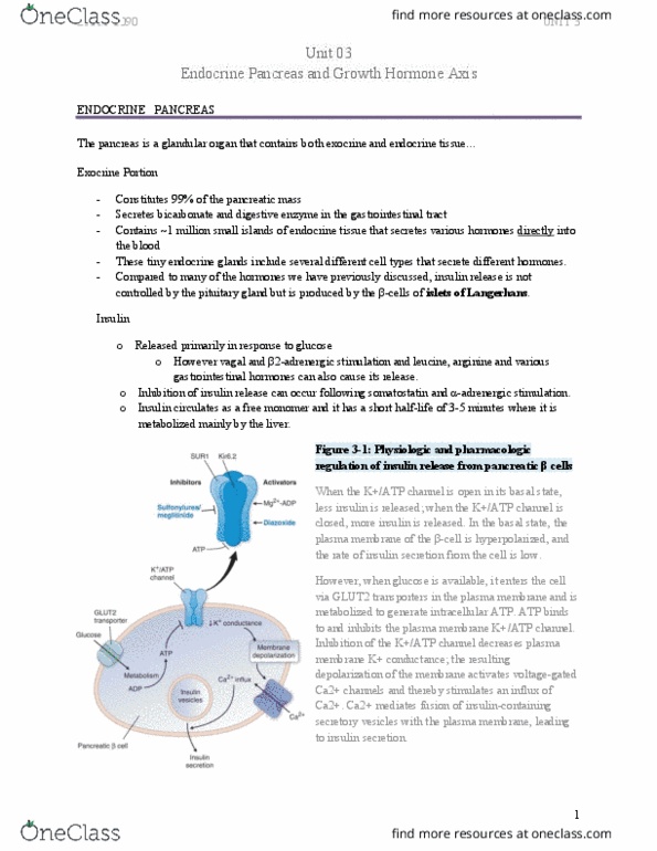 BIOM 4090 Lecture Notes - Lecture 3: Antibody, Polydipsia, Insulin Glargine thumbnail