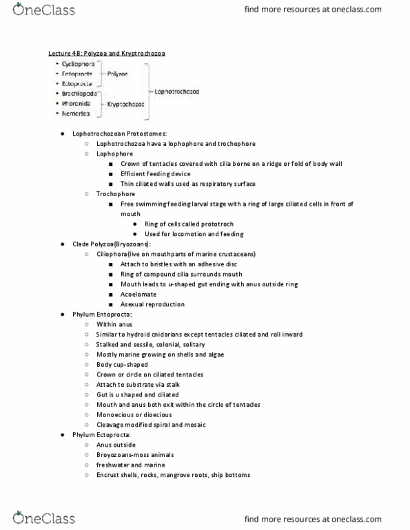 BIOL 2325 Lecture Notes - Lecture 4: Body Cavity, Gas Exchange, Brachiopod thumbnail