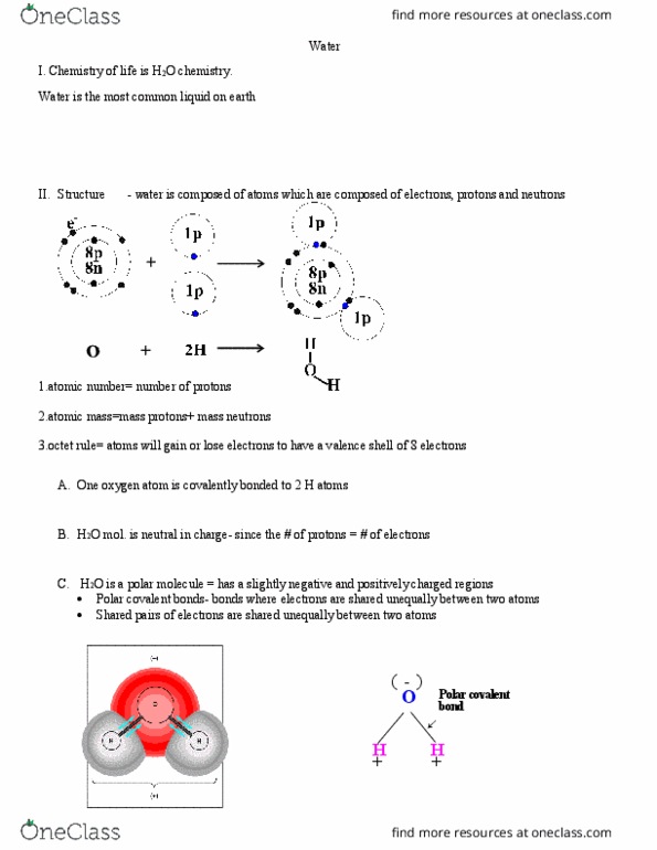 BIOS 101 Lecture Notes - Lecture 1: Xylem, Germination, Glycerol thumbnail