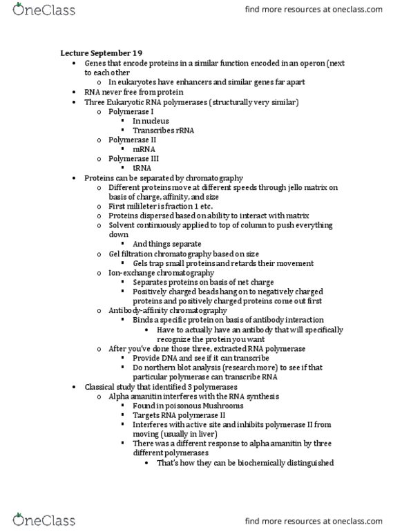 BIOL 200 Lecture Notes - Lecture 5: C-Terminus, Transcription Preinitiation Complex, Northern Blot thumbnail