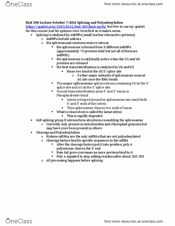 BIOL 200 Lecture Notes - Lecture 11: Chloroplast, Phosphodiester Bond, Spliceosome thumbnail