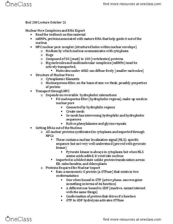 BIOL 200 Lecture Notes - Lecture 14: Guanidine, Nxf1, Helicase thumbnail