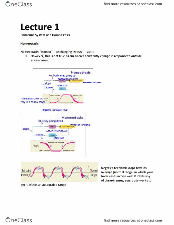 BIOM 3200 Lecture Notes - Lecture 1: Pars Intermedia, Triiodothyronine, Adrenocorticotropic Hormone thumbnail