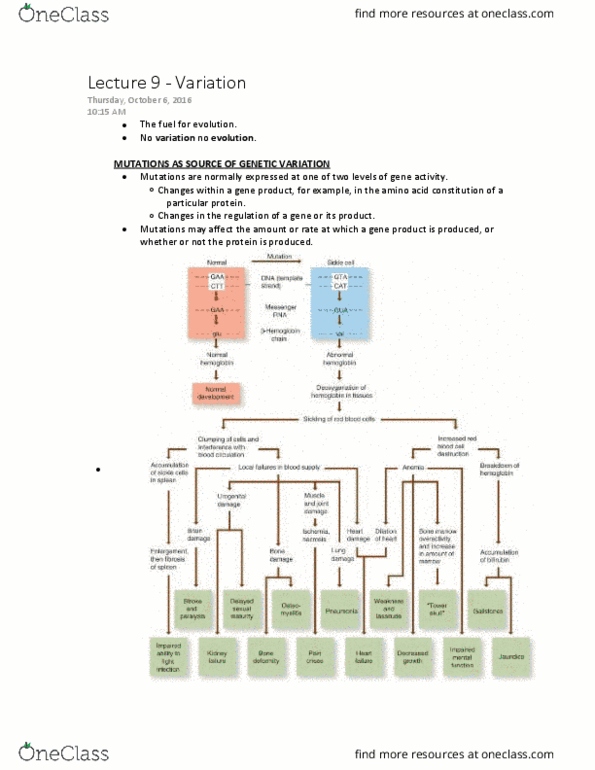 BIOL 215 Lecture Notes - Lecture 9: Homeobox, Methyl Group, Growth Factor thumbnail