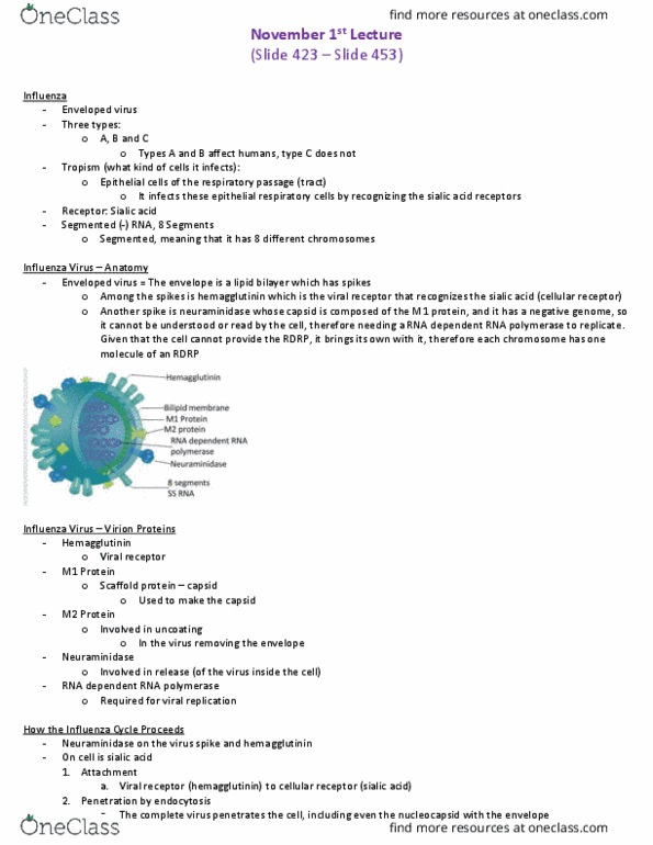 BIO 3124 Lecture 3: M3.L3. November 1st Lecture thumbnail