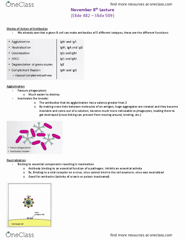 BIO 3124 Lecture Notes - Lecture 5: Humoral Immunity, Organism, Transplacental thumbnail