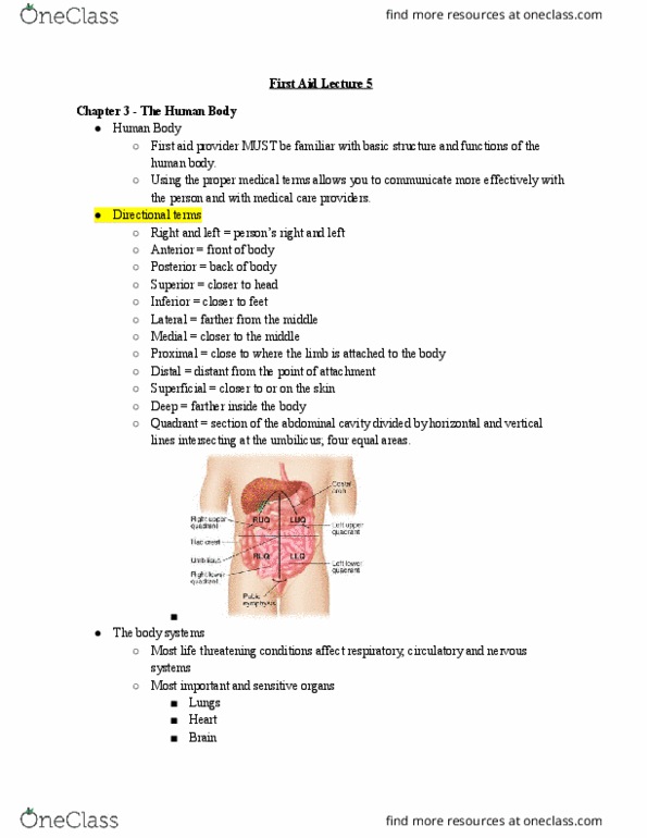 HLTH 216 Lecture Notes - Lecture 5: Trachea, Spinal Cord, Exhalation thumbnail