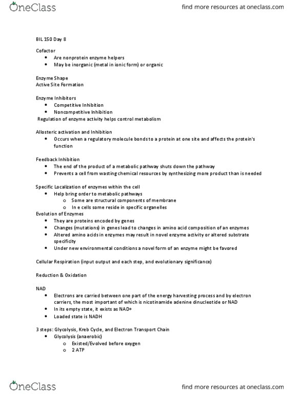 BIL 150 Lecture Notes - Lecture 8: Acetyl Group, Nicotinamide Adenine Dinucleotide, Metabolic Pathway thumbnail