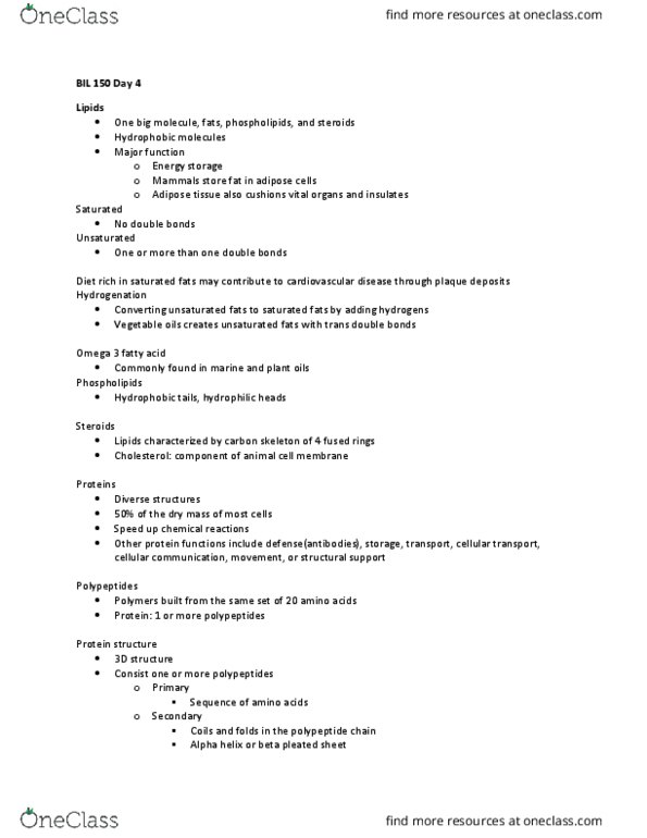 BIL 150 Lecture Notes - Lecture 4: Nitrogenous Base, Adenosine, Pentose thumbnail