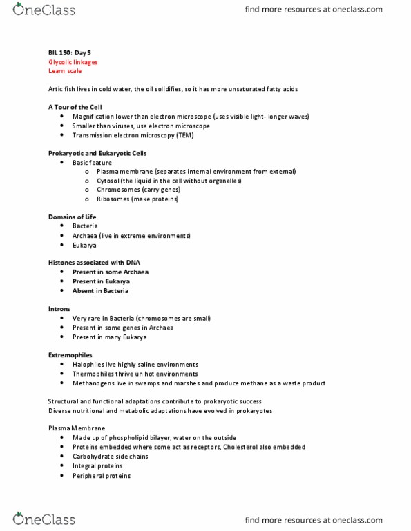 BIL 150 Lecture Notes - Lecture 5: Chloroplast, Photosynthesis, Endomembrane System thumbnail