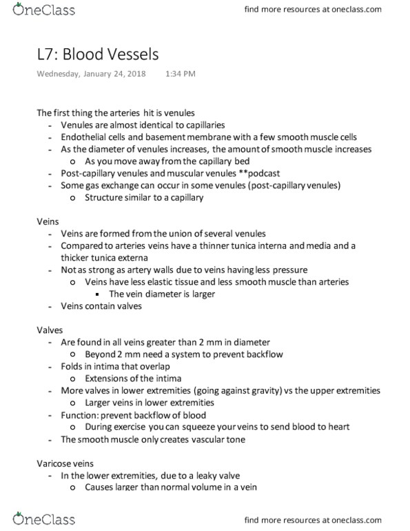 KINESIOL 2YY3 Lecture Notes - Lecture 8: Subclavian Artery, Descending Aorta, Cardiac Output thumbnail