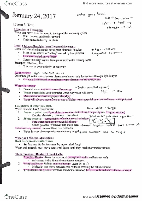 BIOL 1106 Lecture Notes - Lecture 3: Non-Rapid Eye Movement Sleep thumbnail