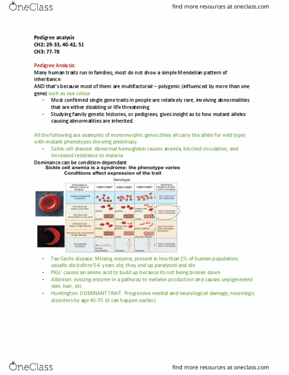 BIOL239 Lecture Notes - Lecture 3: Melanin, Albinism, Sickle-Cell Disease thumbnail