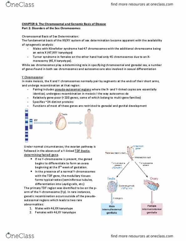 Biochemistry 4463G Chapter Notes - Chapter 6 (Part-2): Oligospermia, Nondisjunction, Gonadal Dysgenesis thumbnail