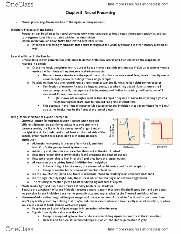 PSYCO367 Chapter Notes - Chapter 3: Frontal Lobe, Shining Light, David H. Hubel thumbnail