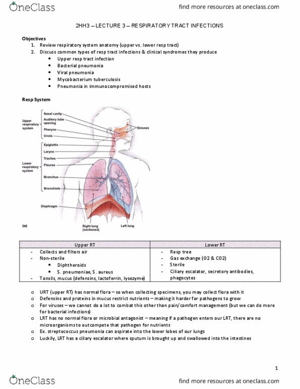 HTHSCI 2HH3 Lecture Notes - Lecture 3: Gram Staining, Pneumococcal Polysaccharide Vaccine, Organ Transplantation thumbnail