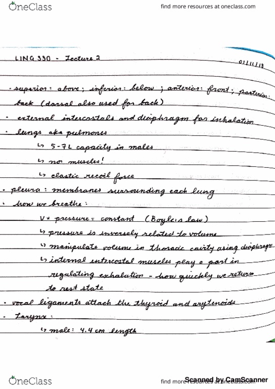 LING 330 Lecture 2: Laryngeal Physiology thumbnail