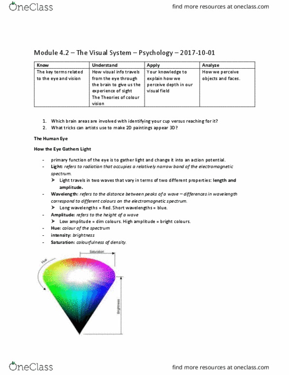 PSYC 1000 Chapter Notes - Chapter Module 4.2: Actual Size, Color Blindness, Temporal Lobe thumbnail