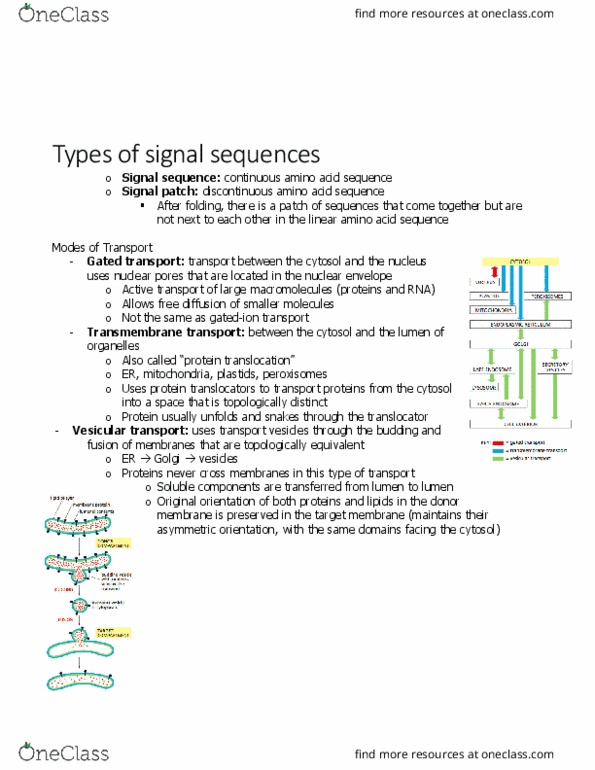 BIOL 2021 Chapter Notes - Chapter 12.8: Cytoskeleton, Chromatin, Nuclear Lamina thumbnail