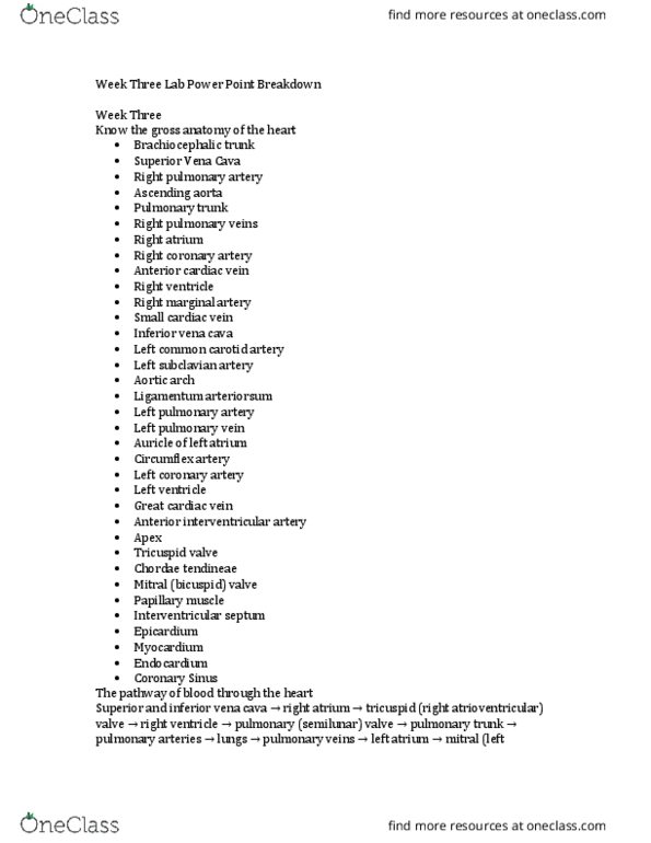 BIOL 2002C Lecture Notes - Lecture 3: Tachycardia, Qrs Complex, Bradycardia thumbnail