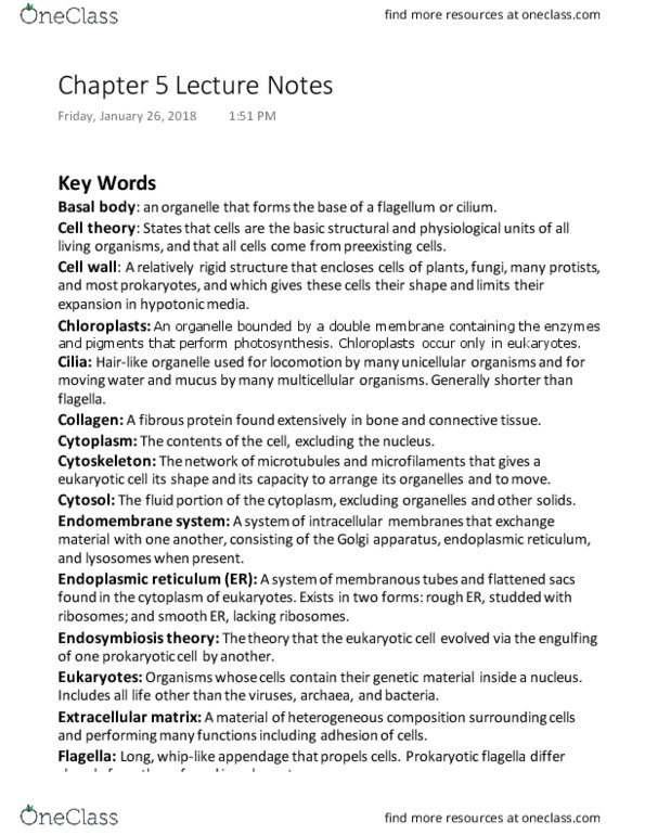 BIOL 1411 Lecture Notes - Lecture 4: Peptidoglycan, Polysaccharide, Nuclear Dna thumbnail