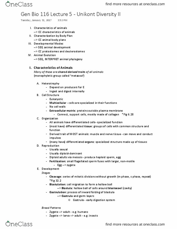 01:119:116 Lecture Notes - Lecture 5: Ecdysozoa, Hydrostatic Skeleton, Bilateria thumbnail