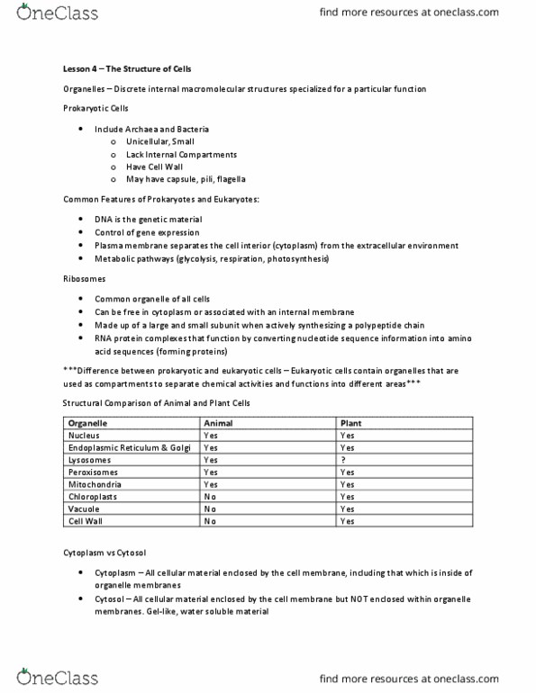 BIOL 1105 Lecture Notes - Lecture 4: Cytoskeleton, Endomembrane System, Keratin thumbnail