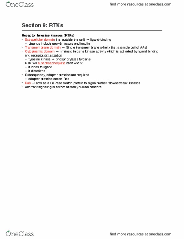 Biology 2382B Lecture Notes - Lecture 9: Erbb4, Sh3 Domain, Mitogen thumbnail