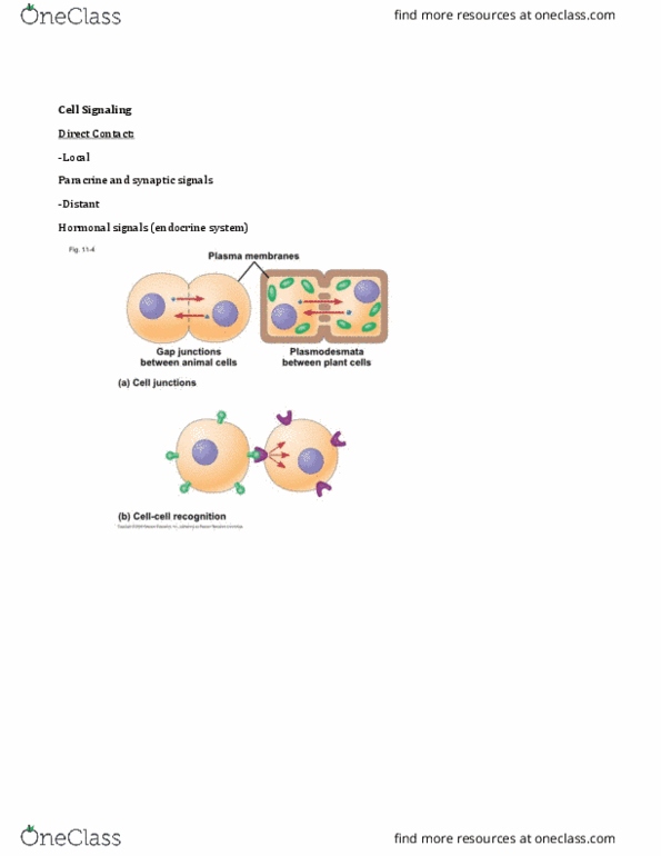 BIOL 1201 Lecture Notes - Lecture 1: Phosphodiesterase, Aroma Compound, Phenelzine thumbnail