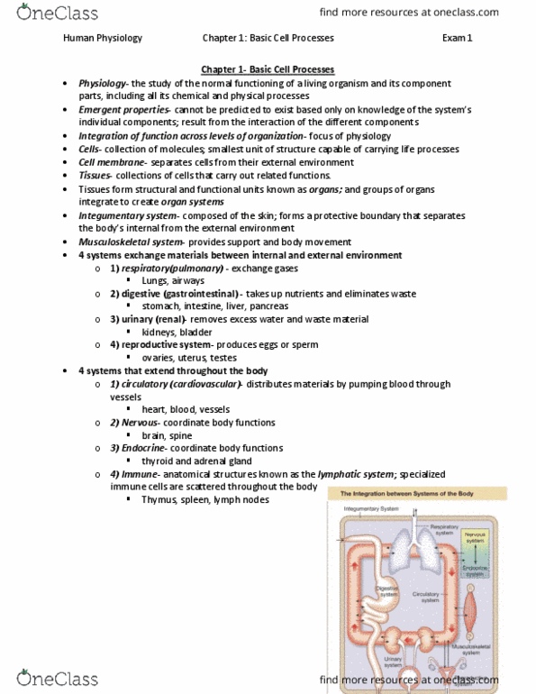 BISC 3166 Chapter Notes - Chapter 1: Hepatocyte, Extracellular Fluid, Mass Flow thumbnail