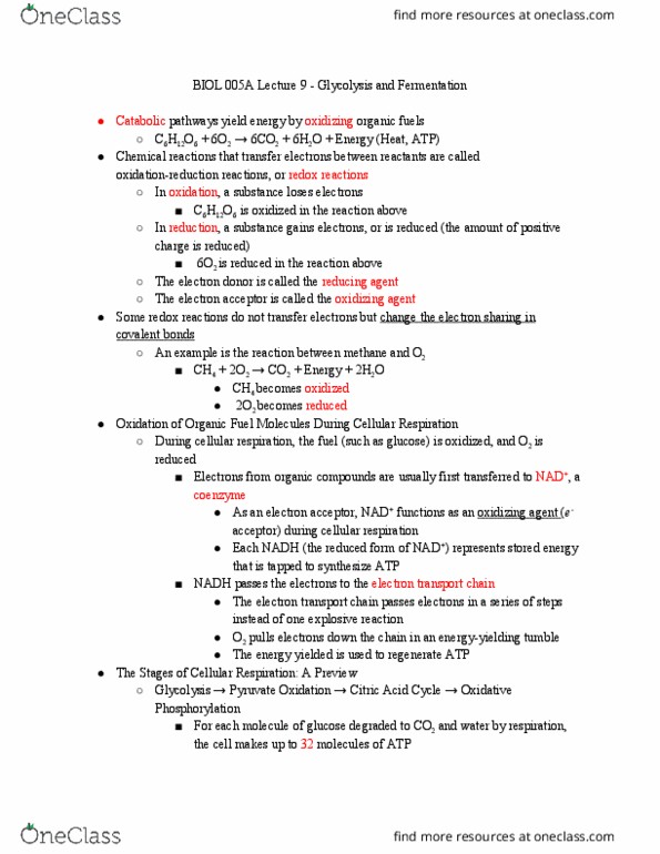 BIOL 005A Lecture Notes - Lecture 9: Acetyl Group, Oxaloacetic Acid, Acetyl-Coa thumbnail