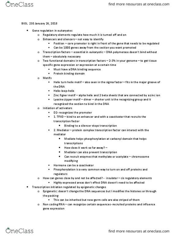 BIOL 230 Lecture Notes - Lecture 10: Dicer, Small Interfering Rna, Intron thumbnail