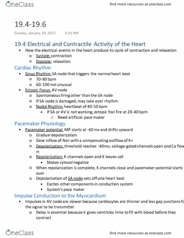 KINS 1224 Chapter Notes - Chapter 19.4-19.6: Reticular Formation, Limit Set, Cell Membrane thumbnail