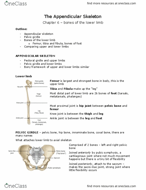 ANAT 101 Lecture Notes - Lecture 10: Talar, Iliofemoral Ligament, Malleolus thumbnail