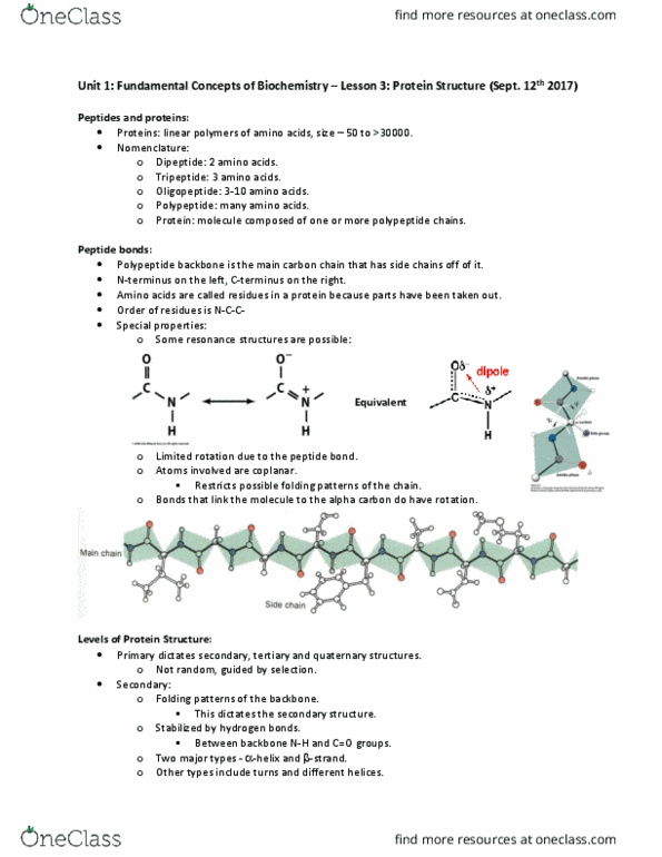 Biochemistry 2280A Lecture Notes - Lecture 3: Elastin, Collagen, Hemoglobin thumbnail