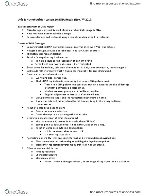 Biochemistry 2280A Lecture Notes - Lecture 16: Chromosome, Proofreading, Only Time thumbnail