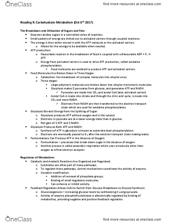 Biochemistry 2280A Chapter Notes - Chapter 9: Triglyceride, Glycogen Synthase, Starch thumbnail