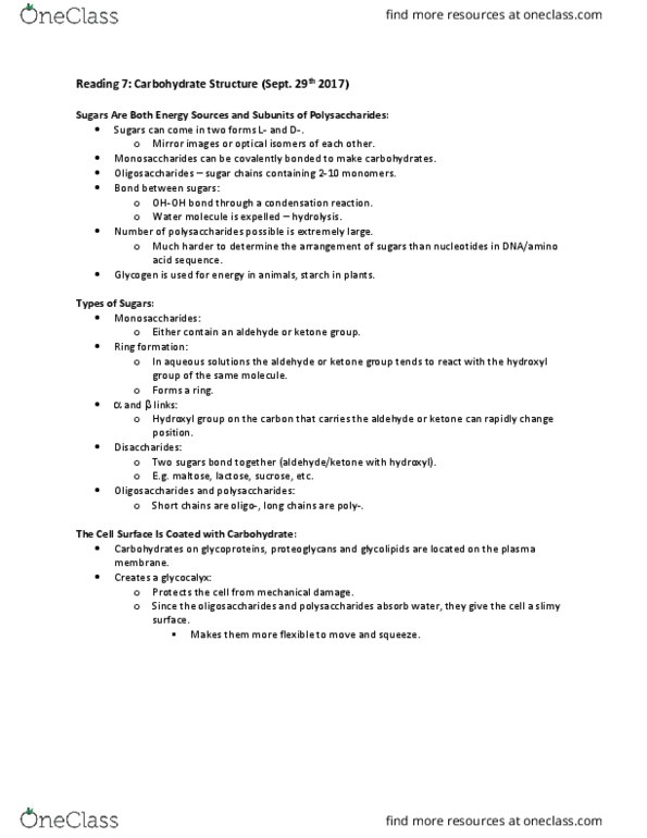 document preview image