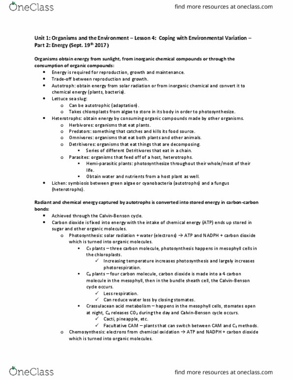 Biology 2483A Lecture Notes - Lecture 4: Insect Mouthparts, Coprophagia, Vascular Bundle thumbnail