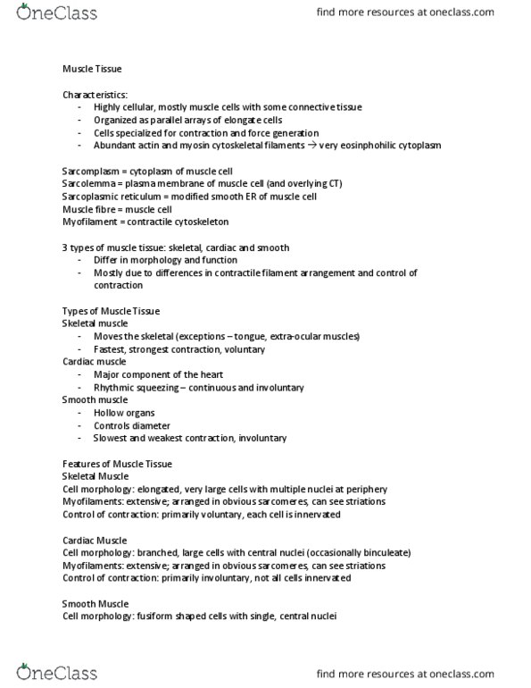 BIOM 4070 Lecture Notes - Lecture 2: T-Tubule, Autoimmune Disease, Motor Unit thumbnail