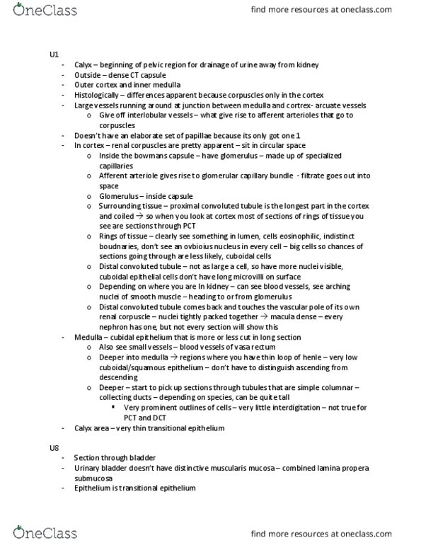 BIOM 4070 Lecture Notes - Lecture 1: Podocyte, Distal Convoluted Tubule, Proximal Tubule thumbnail