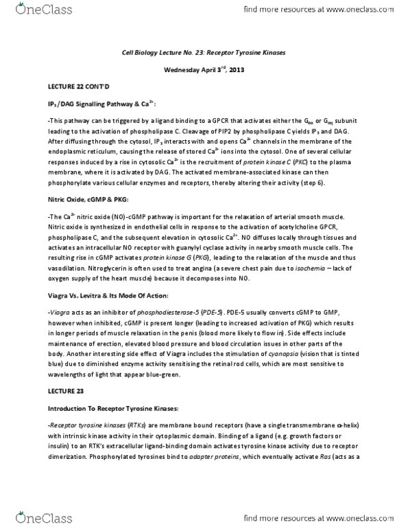 Biology 2382B Lecture Notes - Cgmp-Dependent Protein Kinase, Proline, Francis Peyton Rous thumbnail