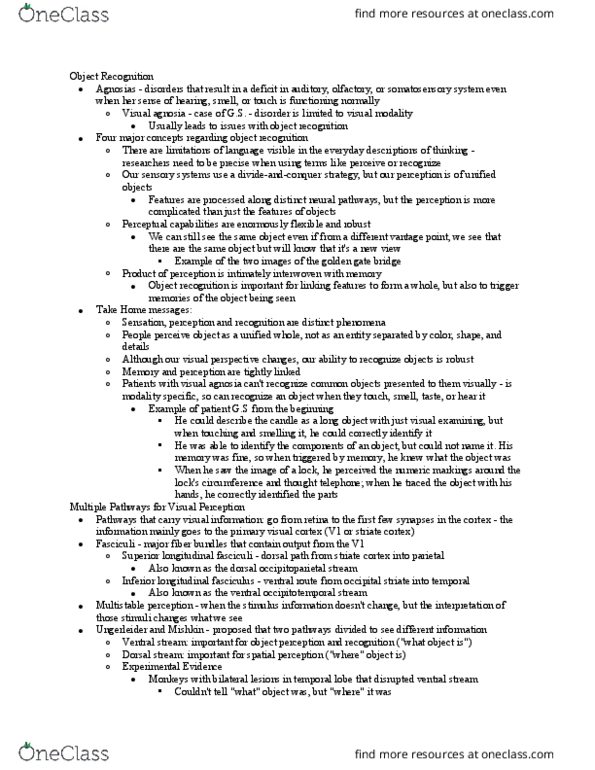 NBB 302 Chapter Notes - Chapter Chapter 6: Grandmother Cell, Dyslexia, Parahippocampal Gyrus thumbnail