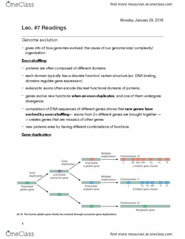 Biology 2581B Chapter Notes - Chapter 7: Archaea, Hemostasis, Pseudogene thumbnail