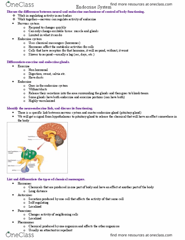 BIOL-2230 Lecture Notes - Lecture 1: Gamete, Corticotropic Cell, Homeostasis thumbnail