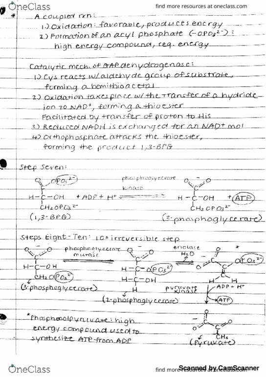 BIOCHM 383 Lecture 52: Step 6 of Glycolysis cont., GAP Dehydrogenase Catalytic Mechanism, Steps 7-10 of Glycolysis, Pyruvate & Its Structure thumbnail