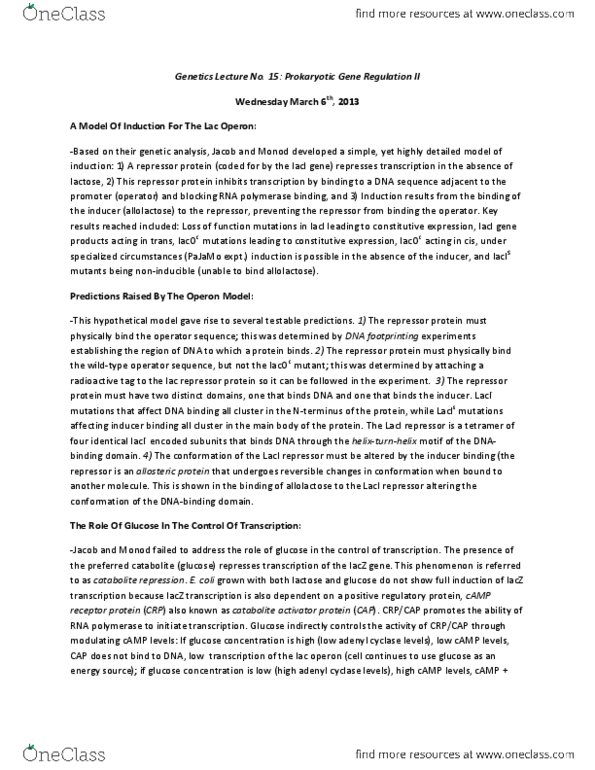 Biology 2581B Lecture Notes - Lecture 15: Camp Receptor Protein, Stem-Loop, Cyclic Adenosine Monophosphate thumbnail