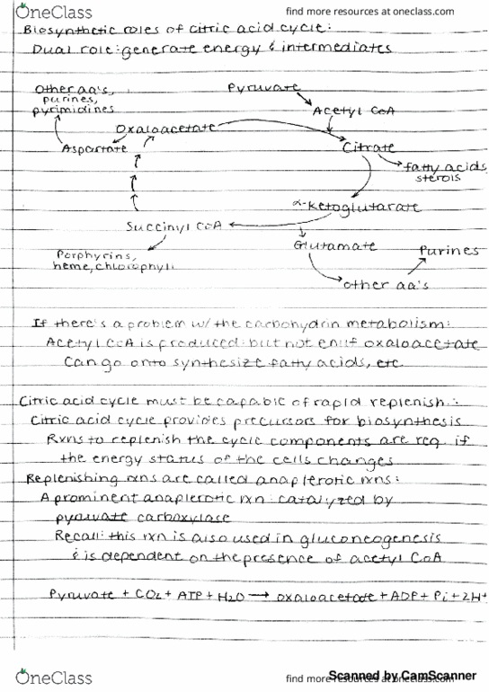 BIOCHM 383 Lecture Notes - Lecture 65: Fax thumbnail